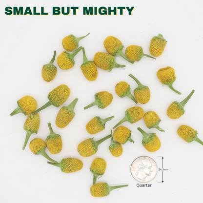 Buzz Buttons - .2oz