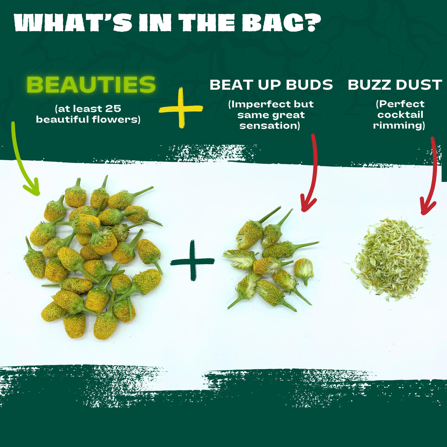 Buzz Buttons - .2oz