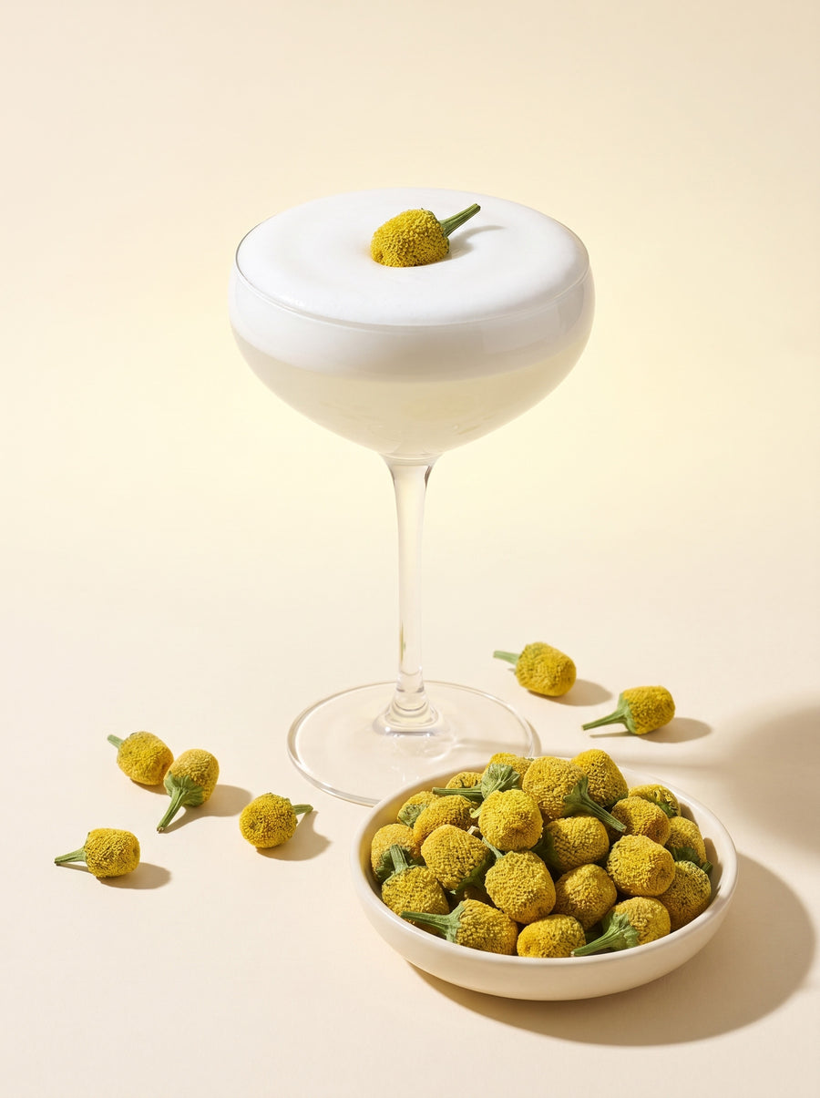 Coupe cocktail with buzz button flower garnish