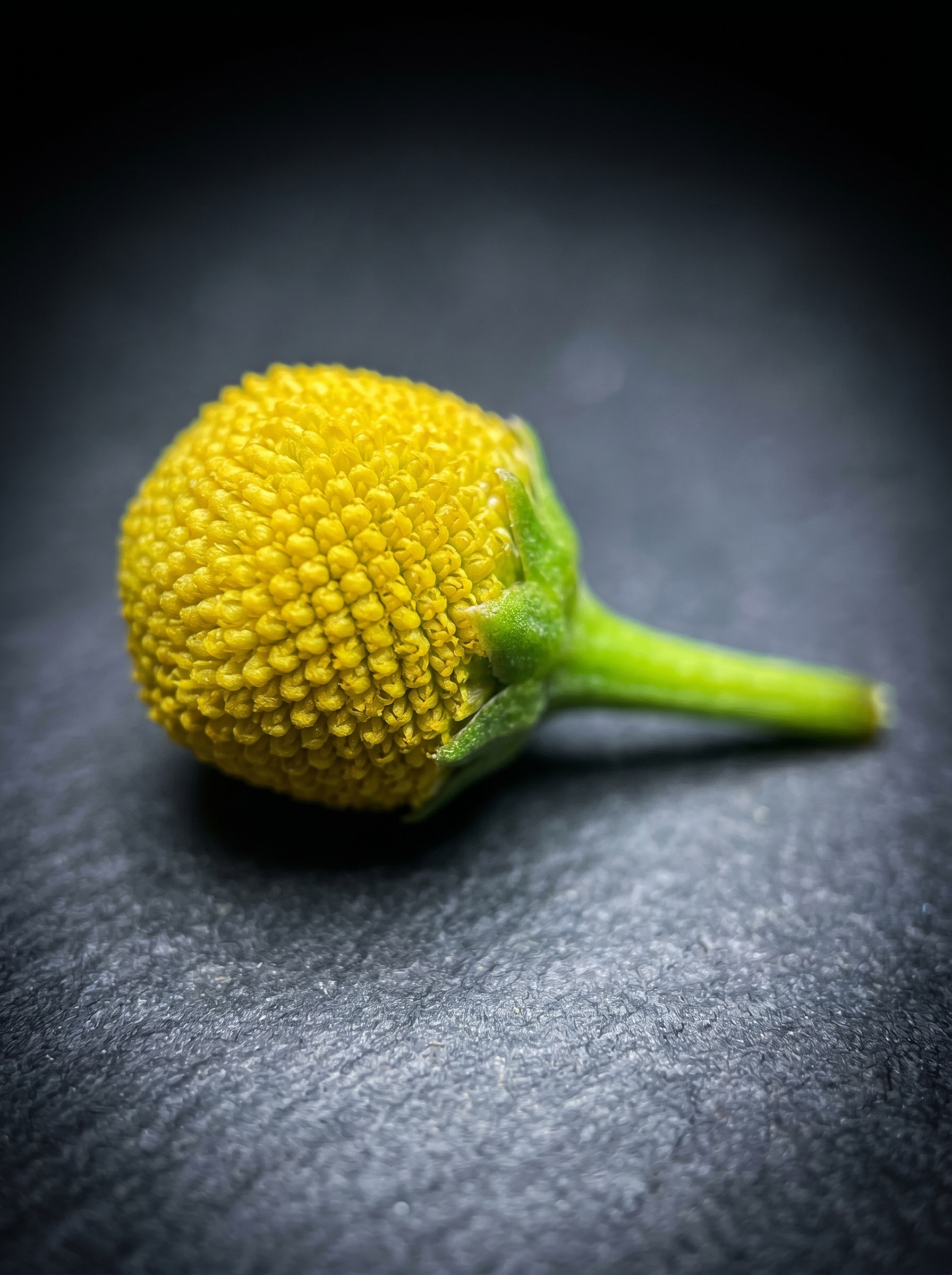 macro