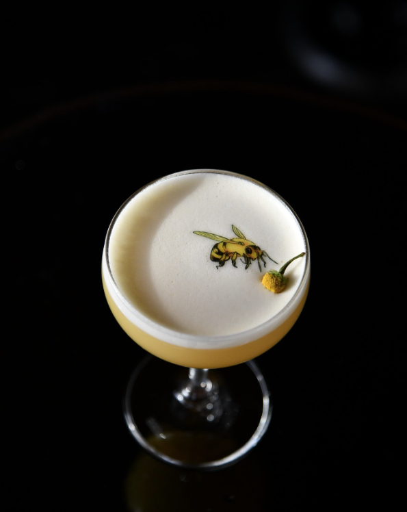 uc bee foam